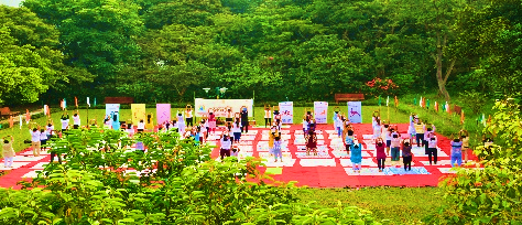 The Campus